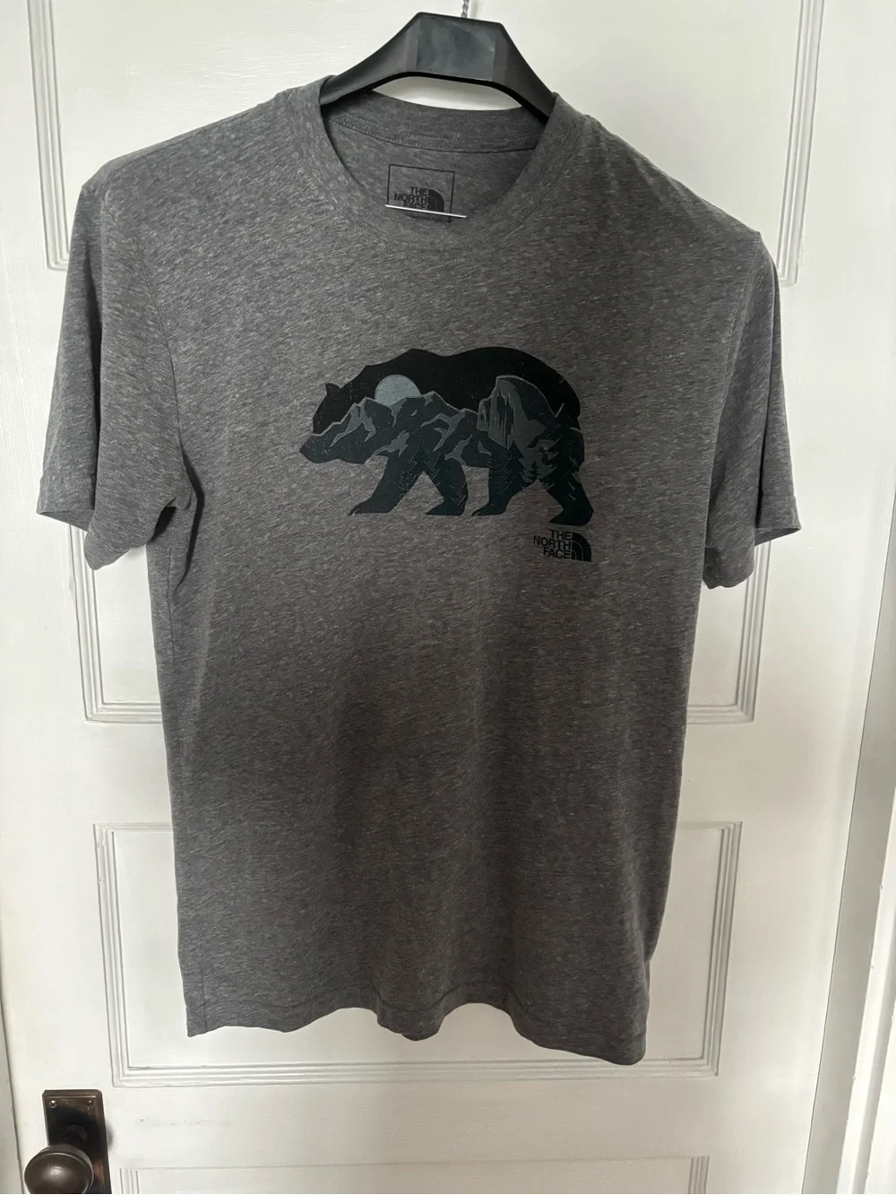 The North Face Men's Charcoal Gray Bear Graphic Short Sleeve Tee